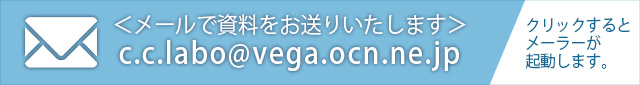メールで資料をお送りいたします。クリックするとメーラーが起動します